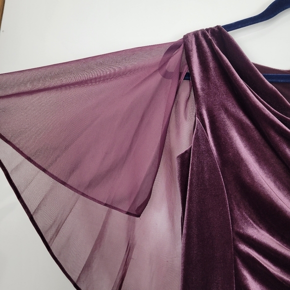 NWT R&M Richards Petite Chiffon-Cape Cowlneck Velvet Gown in Wine Size 4P - Picture 6 of 15